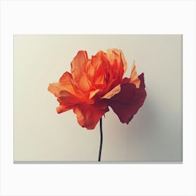 Orange Poppy Flower Canvas Print