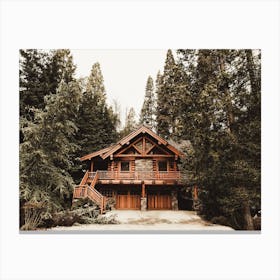 Forest Cabin Canvas Print