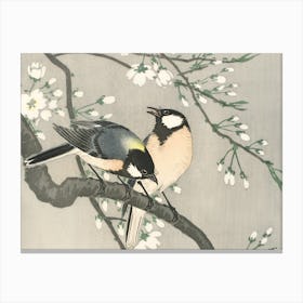 Tits on Cherry Branch Canvas Print