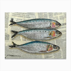Three Fishes On Newspaper Mackerel Sardine Ocean Sealife Rustic Kitchen Seafood Decor Canvas Print