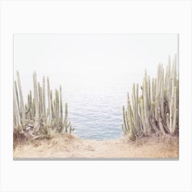 Seaside Cacti Canvas Print