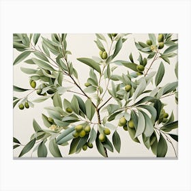 Olive Tree Canvas Print