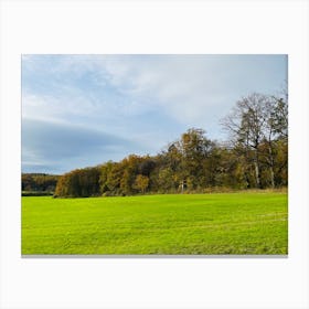 Field With Trees 7 Canvas Print