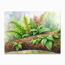 2 Exotic Tropical Ferns Growing On Mossy Logs Canvas Print