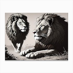 Lions Canvas Print