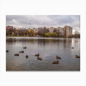 Ducks In The Park Canvas Print