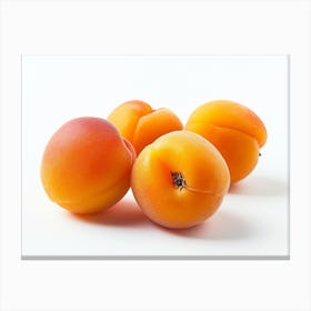 Apricots 19 Canvas Print