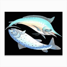 Swordfish And Salmon Canvas Print