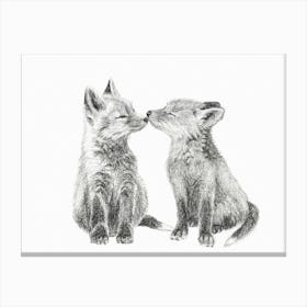 Baby Foxes Canvas Print