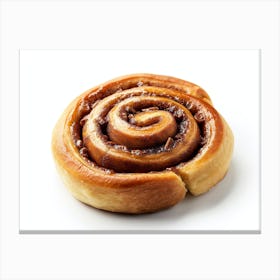 Cinnamon Roll 2 Canvas Print