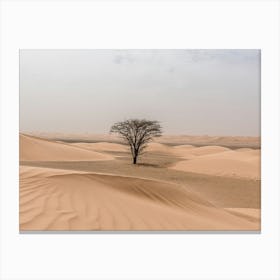 Sahara Desert With Tree Canvas Print