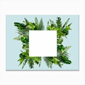 Fern Frame 3 Canvas Print