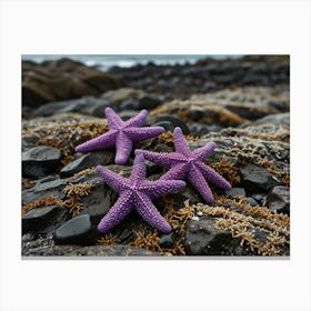 Purple Starfish Canvas Print