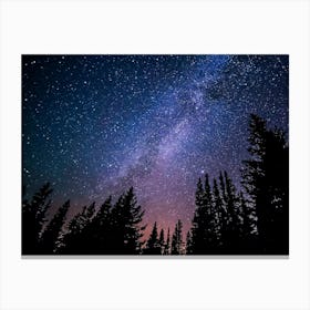 Milky Way Canvas Print