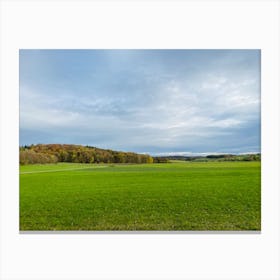 Field With Trees 14 Canvas Print