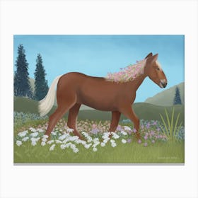 Horse In Flower Meadow Canvas Print