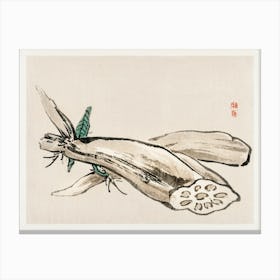 Lotus Root, Kōno Bairei Canvas Print