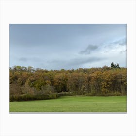 Autumn In The Forest 15 Canvas Print