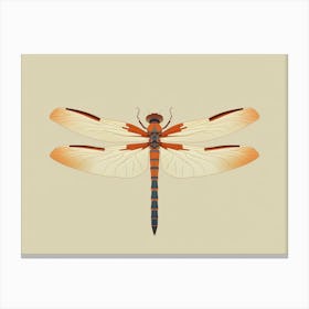 Dragonfly Common Baskettail Epitheca 3 Canvas Print