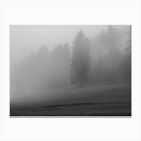 Black And White Foggy Day Canvas Print