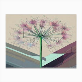 Allium 34 Canvas Print