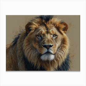 Lion picture Canvas Print