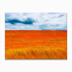 Where The Poppies Touch The Sky Canvas Print