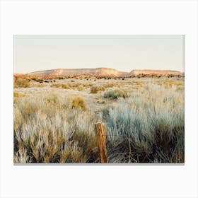 Sagebrush Desert Canvas Print