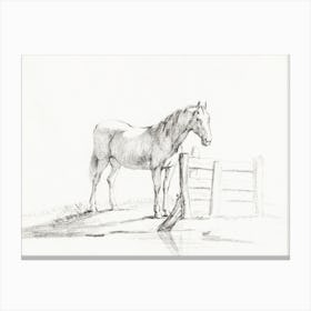 Standing Horse At A Fence, Jean Bernard Canvas Print