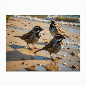 Sparrows Having a Beach Day Canvas Print