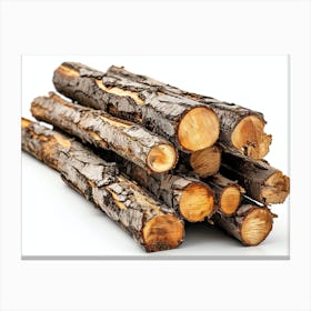 Logs On White Background Canvas Print