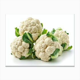 Cauliflower 8 Canvas Print