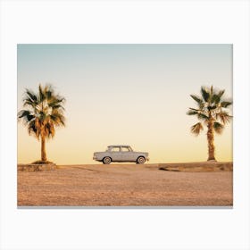 Car Between Palms Canvas Print