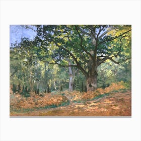 The Bodmer Oak, Fontainebleau Forest (1865), Claude Monet Canvas Print