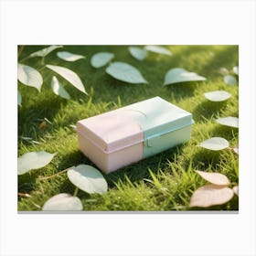 A Pink And Blue Box With A Clasp Lies On A Bed Of Green Grass With Leaves Canvas Print