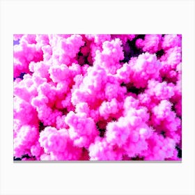 Pink Clouds In The Sky Canvas Print