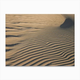 The Art Of Sand Canvas Print