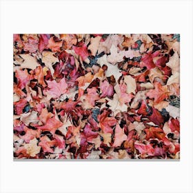 Red Leaves On Forest Floor Canvas Print