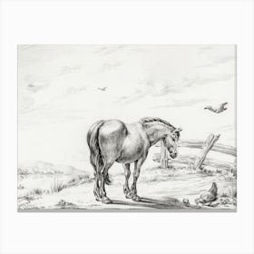 Standing Horse At Chicken With Chicks, Jean Bernard Canvas Print