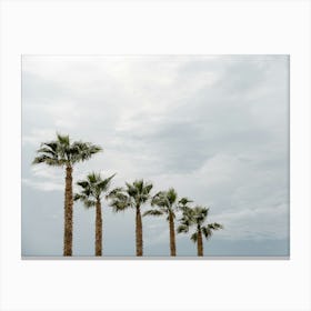 Five Palm Trees On The Beach In Italy Canvas Print