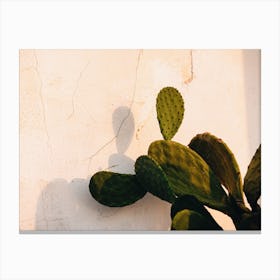Sunset Cactus Canvas Print