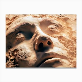 Sand Sculpture Canvas Print