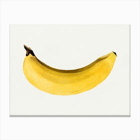 Banana Painting Canvas Print