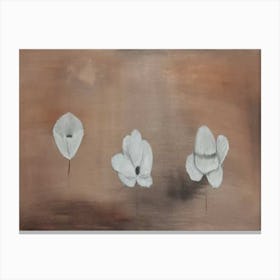 Three White Flowers Canvas Print