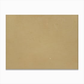 Solid Background, beige-brown shade Canvas Print