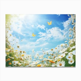 Daisies In The Meadow 4 Canvas Print