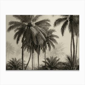 Palm Trees In The Fog 1 Canvas Print