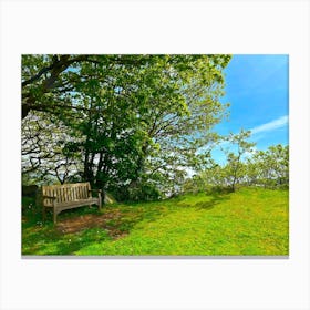 Bench On The Hill Canvas Print