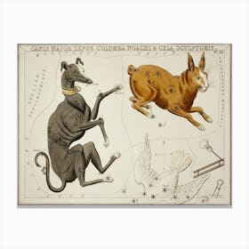 Sidney Hall’s (1831), Astronomical Chart Illustration Of The Canis Major, Lepus, Columba Noachi And The Cela Sculptoris Canvas Print