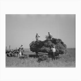 Harvesting Rice, Crowley, Louisiana By Russell Lee Canvas Print